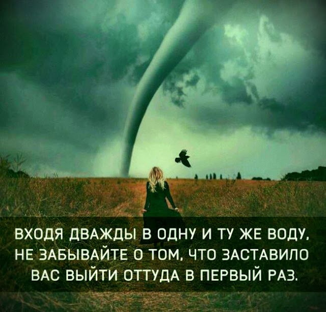 Сильно сказано: 20 высказываний в картинках Сильно сказано: 20 высказываний в картинках