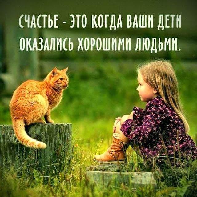 Сильно сказано: 20 высказываний в картинках Сильно сказано: 20 высказываний в картинках
