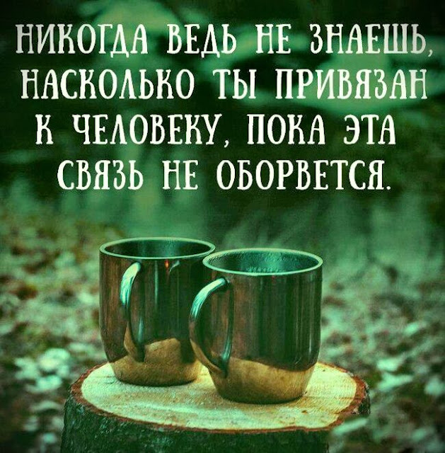 Сильно сказано: 20 высказываний в картинках Сильно сказано: 20 высказываний в картинках
